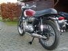 Triumph Tiger 100 (500 cc)